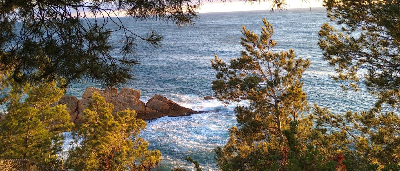 Calanque de Figuières, plage à 100 m, paddle, canoë, parking, WIFI, Ensues-la-Redonne Exterior foto